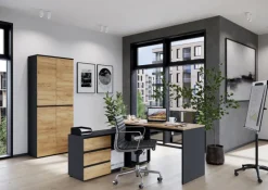 Aktenregal LISSABON 80 x 196 cm Graphit/ Navarra Eiche