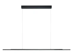 BANKAMP LED Pendellampe LIGHTLINE V3 anthrazit eloxiert