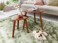 Beistelltisch 2er-Set braun