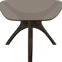 Beistelltisch FLASH 110 x 60 cm Mangoholz/Farbglas braun