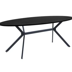 BRUNO Esstisch 220 x 75 cm oval schwarz