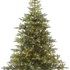 casaNOVA Weihnachten Tannenbaum mit LED Beleuchtung GRANDIS 210 cm