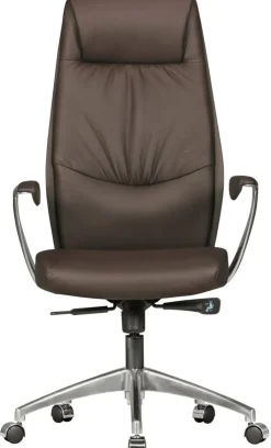 Chefsessel 67 x 125 cm braun