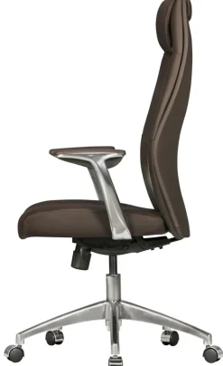 Chefsessel 67 x 125 cm braun