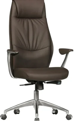 Chefsessel 67 x 125 cm braun