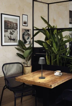 easy! by FHL Akku LED Tischlampe ROXY 27,5 cm sandgrau