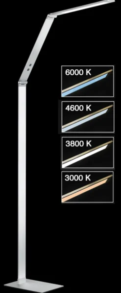 FISCHER & HONSEL LED Stehlampe DENT 1-flg alufarbig