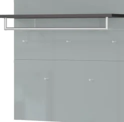 Garderobenpaneel LEVIN 97 x 96 cm Glasfront Silbergrau/Graphit