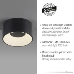 JUST LIGHT LED Deckenlampe TANIKA 16 cm schwarz