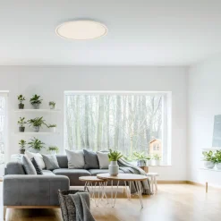 JUST LIGHT LED Deckenlampe EDGING 60 cm weiß