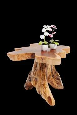KARE DESIGN Beistelltisch TREE 40 x 40 cm Teak Massivholz