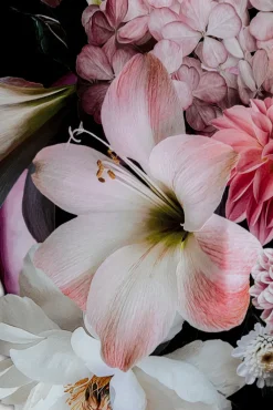 KARE DESIGN Bild FLOWERY BEAUTY schwarz