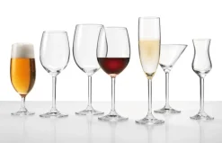 LEONARDO Grappaglas DAILY