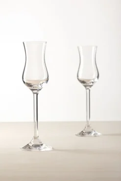 LEONARDO Grappaglas DAILY