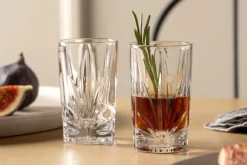 LEONARDO Schnapsglas CAPRI 4er Set transparent