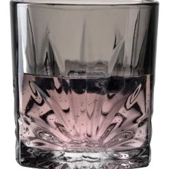 LEONARDO Whiskyglas CAPRI 4er-Set grau