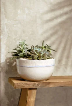 like. Schüssel PERLEMOR SAND braun