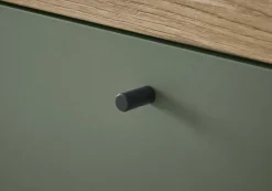 Lowboard ALVA 107 x 50 cm Salbeifarbig/braun