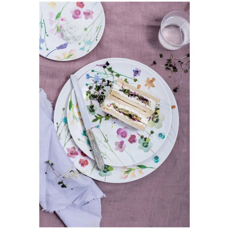 MAXWELL & WILLIAMS Speiseteller WILDWOOD 6er Set 23 cm