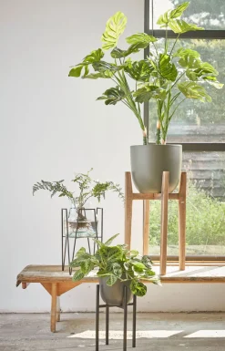 MICA DECORATIONS Blumentopfständer ASCOT 16 x 16 cm schwarz