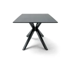 Musterring Esstisch TIAMA 200 x 100 cm Eiche massiv schwarz lackiert transparent