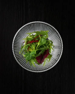 Nachtmann Schale APERITIVO 2er Set Kristallglas