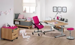 PAIDI Drehstuhl TIO SITNESS grau/ silbergrau