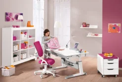 Kinder PAIDI Schreibtisch JARO Kreideweiß