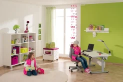 PAIDI Schreibtisch MARCO Kreideweiß