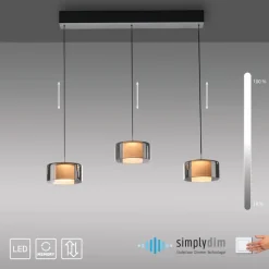 Paul Neuhaus LED Balkenpendel RIKA 3-flg cm schwarz