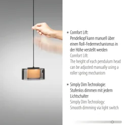 Paul Neuhaus LED Balkenpendel RIKA 3-flg cm schwarz