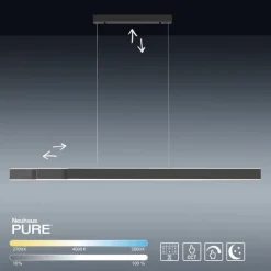 Paul Neuhaus LED Balkenpendel PURE-LUME anthrazit