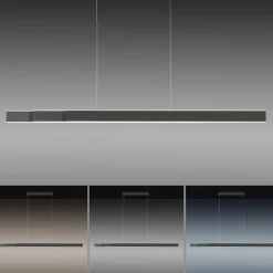 Paul Neuhaus LED Balkenpendel PURE-LUME anthrazit