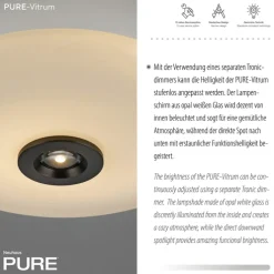 Paul Neuhaus LED Deckenlampe PURE VITRUM 45 cm braun