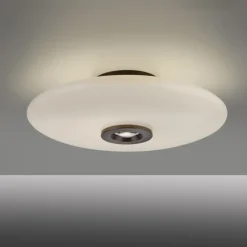 Paul Neuhaus LED Deckenlampe PURE VITRUM 45 cm braun