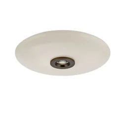 Paul Neuhaus LED Deckenlampe PURE VITRUM 45 cm braun