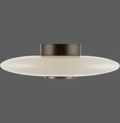 Paul Neuhaus LED Deckenlampe PURE VITRUM 45 cm braun