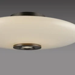 Paul Neuhaus LED Deckenlampe PURE VITRUM 45 cm braun