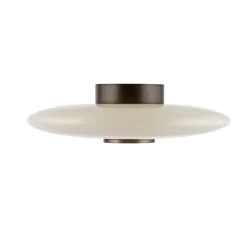 Paul Neuhaus LED Deckenlampe PURE VITRUM 45 cm braun