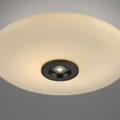 Paul Neuhaus LED Deckenlampe PURE VITRUM 45 cm braun