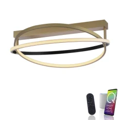 Paul Neuhaus LED Deckenlampe Q-BELUGA rund Messing/ Schwarz matt