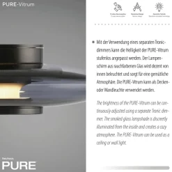 Paul Neuhaus LED Deckenlampe PURE VITRUM 22 cm grau