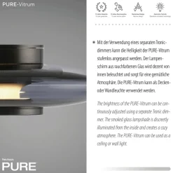 Paul Neuhaus LED Deckenlampe PURE VITRUM 22 cm grau