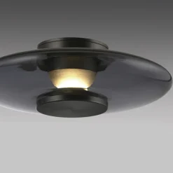 Paul Neuhaus LED Deckenlampe PURE VITRUM 22 cm grau