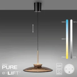Paul Neuhaus LED Pendelleuchte PURE E-MOON 1-flg bronze