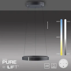 Paul Neuhaus LED Pendelleuchte PURE E-CLIPSE 50 cm grau