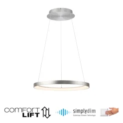 Paul Neuhaus LED Pendelleuchte HOOP 57 cm alu-/nickelfarbig