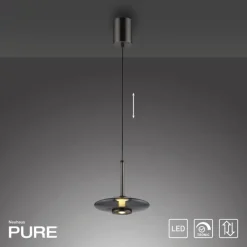 Paul Neuhaus LED Pendelleuchte PURE VITRUM 22 cm grau