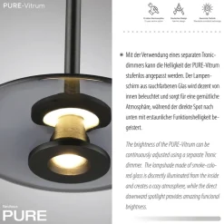Paul Neuhaus LED Pendelleuchte PURE VITRUM 22 cm grau