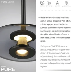 Paul Neuhaus LED Pendelleuchte PURE VITRUM 22 cm grau